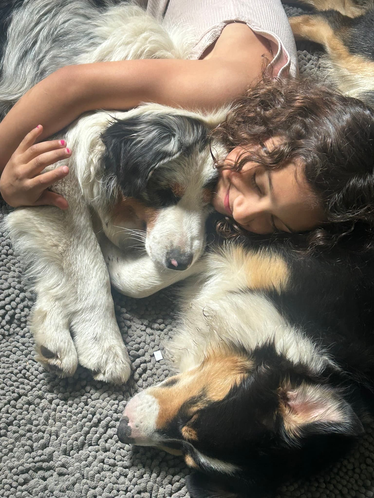 A child resting comfortably with dogs in a home setting